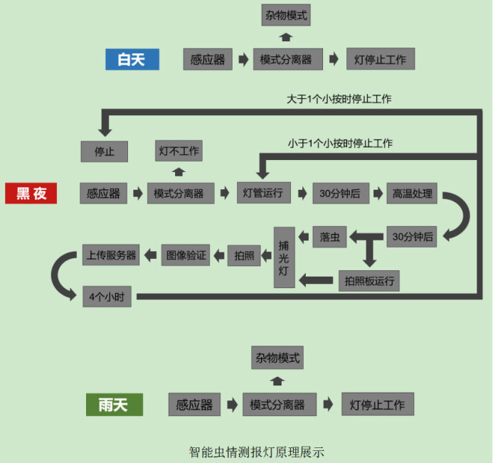 蟲情測報(bào)燈